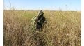 Маскировочный халат Taganrog Кикимора – купить по цене 3550 руб. в интернет-магазине в городе Магнитогорск картинка 13